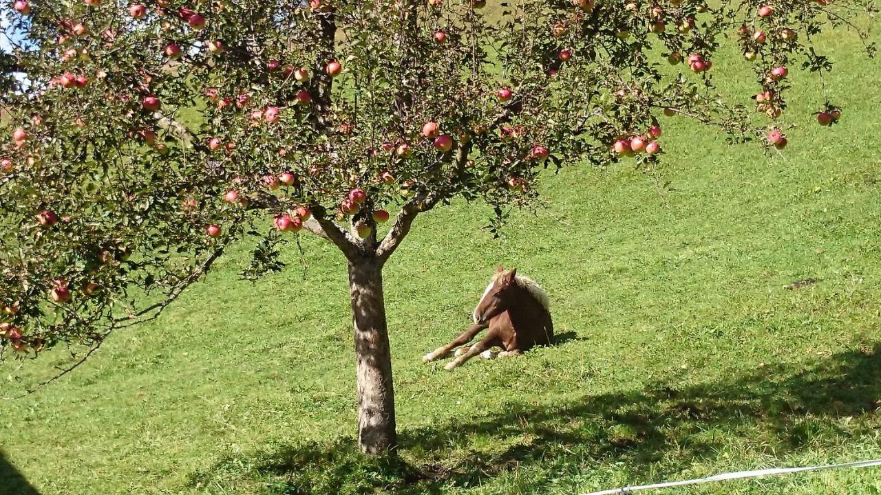 Musikhof Lexer Lägenhet Liesing Exteriör bild