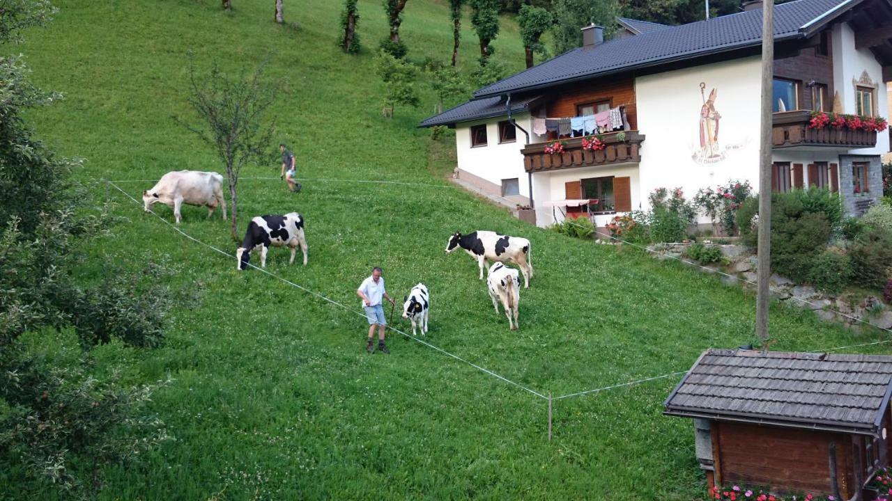 Musikhof Lexer Lägenhet Liesing Exteriör bild