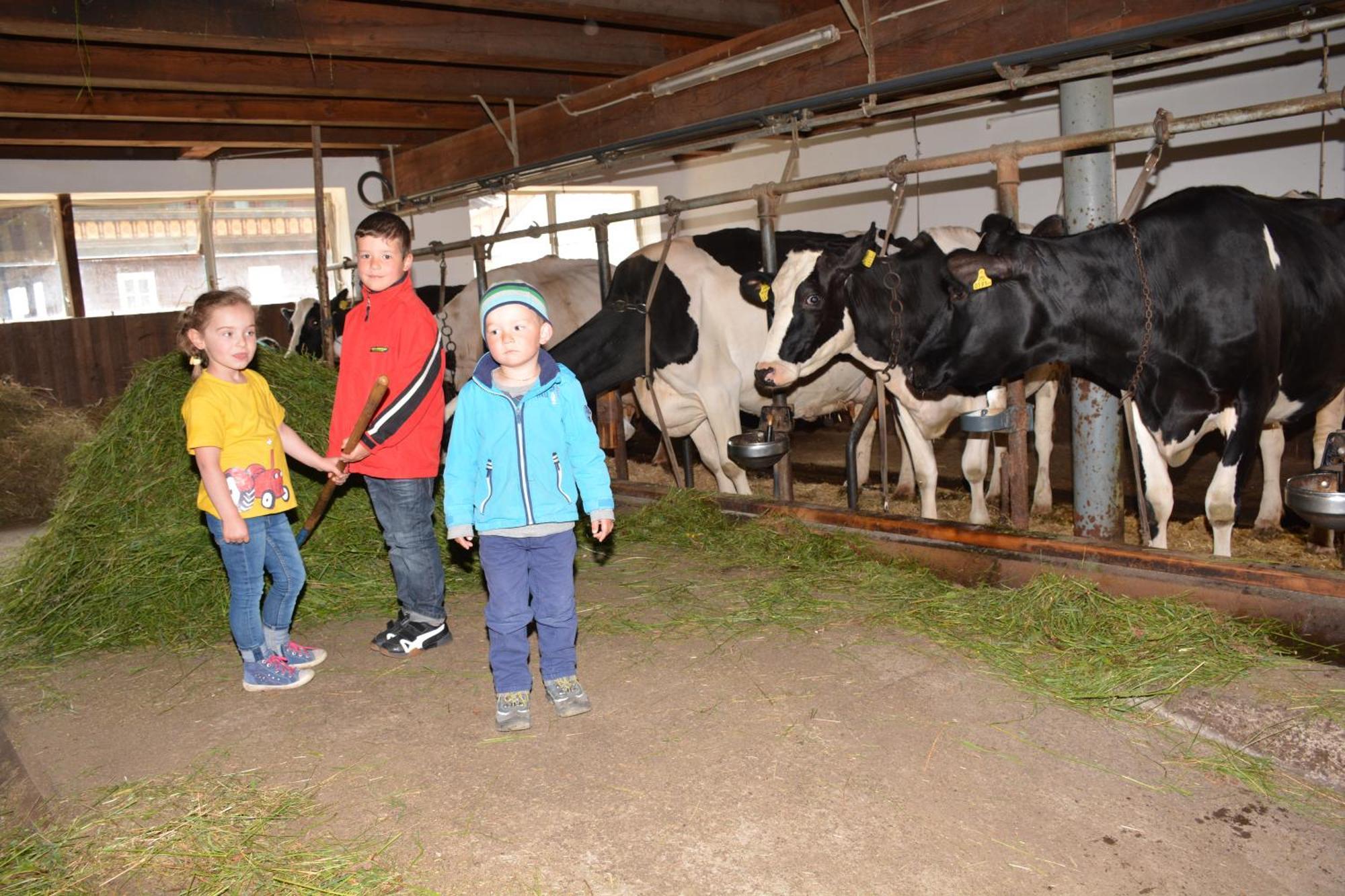 Musikhof Lexer Lägenhet Liesing Exteriör bild