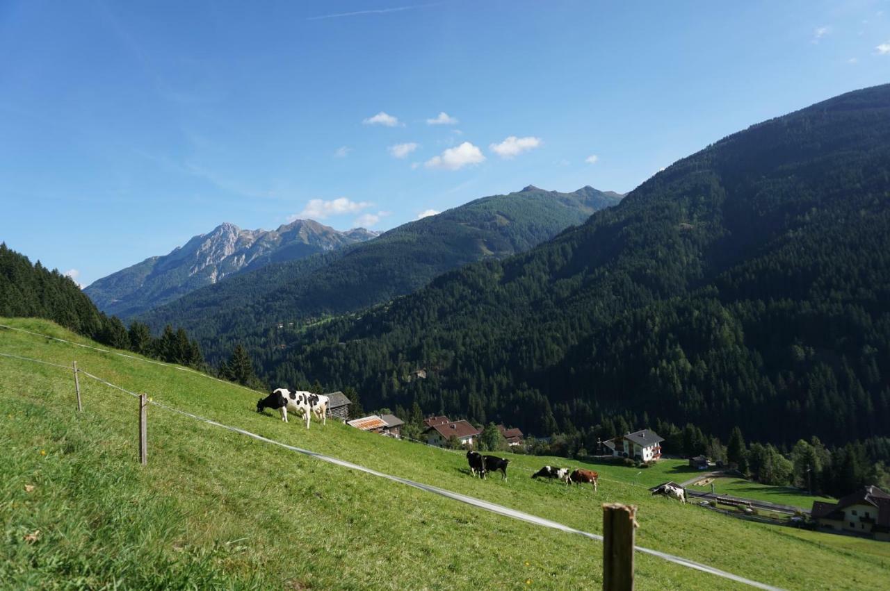 Musikhof Lexer Lägenhet Liesing Exteriör bild